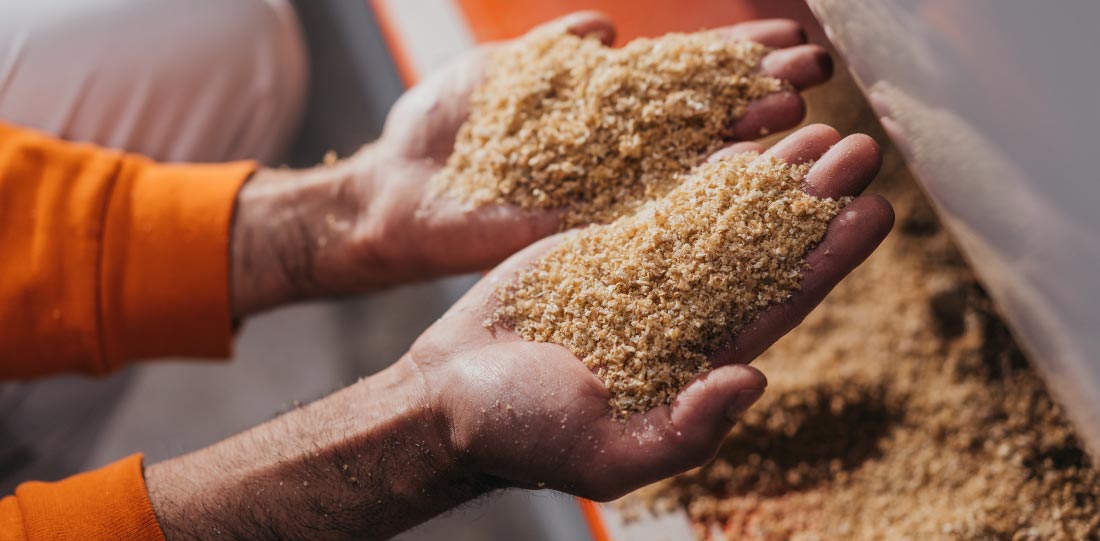 La nostra pasta bio - Girolomoni