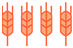 Tagliatelle Semintegrali - Girolomoni