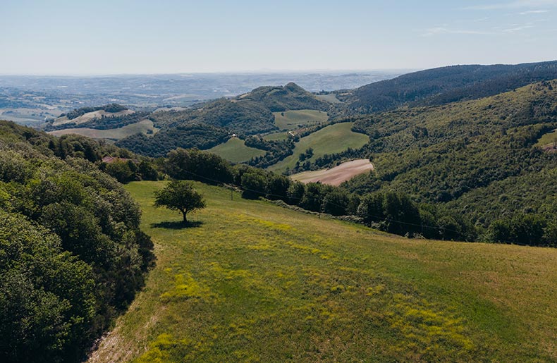 panorama dalle colline al mare